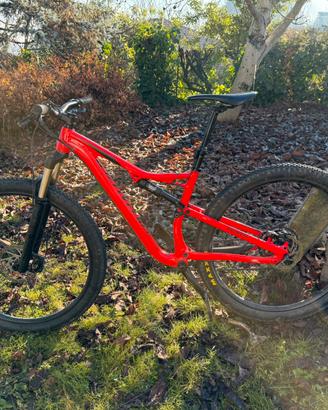 Specialized camber 2018
