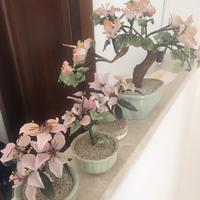 bonsai in ceramica e vetro