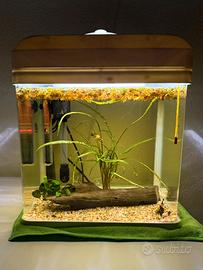 Acquario completo di tutto 16 litri