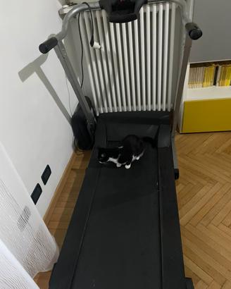 Tapis roulant