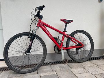 Bici Pinarello da bambino