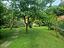 Immagine 29