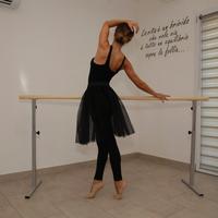 Sbarre Danza serie MMS CLEVER