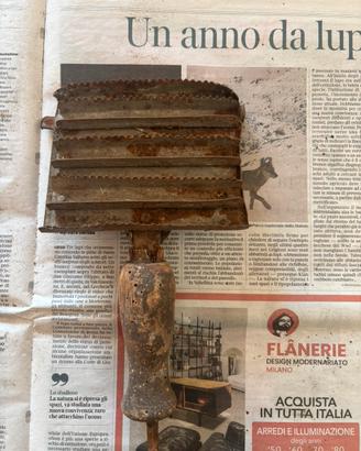 Antica striglia in ferro