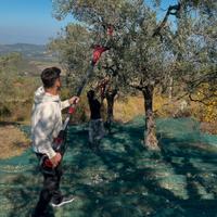 2 abbacchiatori a batteria Einhell