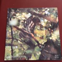 Vinile claudio rocchi essenza