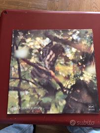 Vinile claudio rocchi essenza