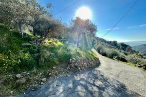 TER. AGRICOLO A SANREMO