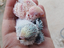 Immagine 3