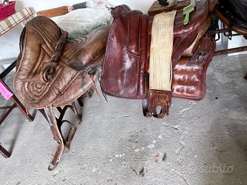 Selle cavalli