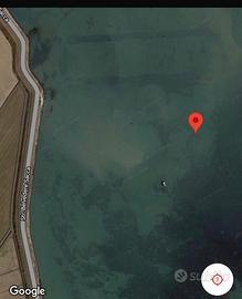 Vivaio per la coltivazione di molluschi