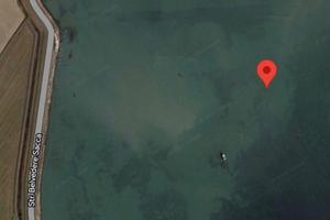 Vivaio per la coltivazione di molluschi