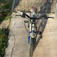 Bicicletta da bambino