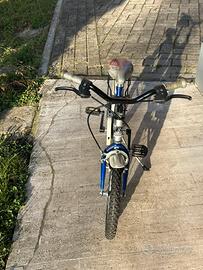 Bicicletta da bambino