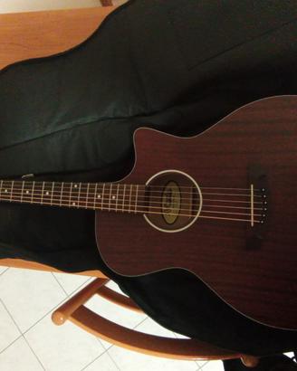chitarra elettroacustica d'angelico 