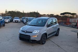 FIAT Panda HYBRID CITYLIFE 1.0cc 70cv