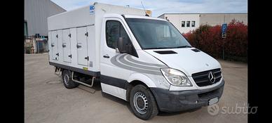 Mercedes Sprinter trasporto surgelati ATP  2028