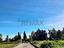 Immagine 30
