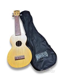 Ukulele entry level