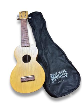 Ukulele entry level