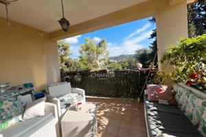 Adiacente le cotoniere