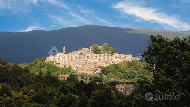 Appartamento ristrutturato in piccolo borgo