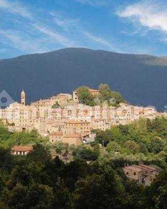 Appartamento ristrutturato in piccolo borgo