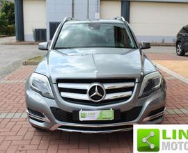 MERCEDES-BENZ GLK 220 CDI 4Matic B.EFFICIENCY P