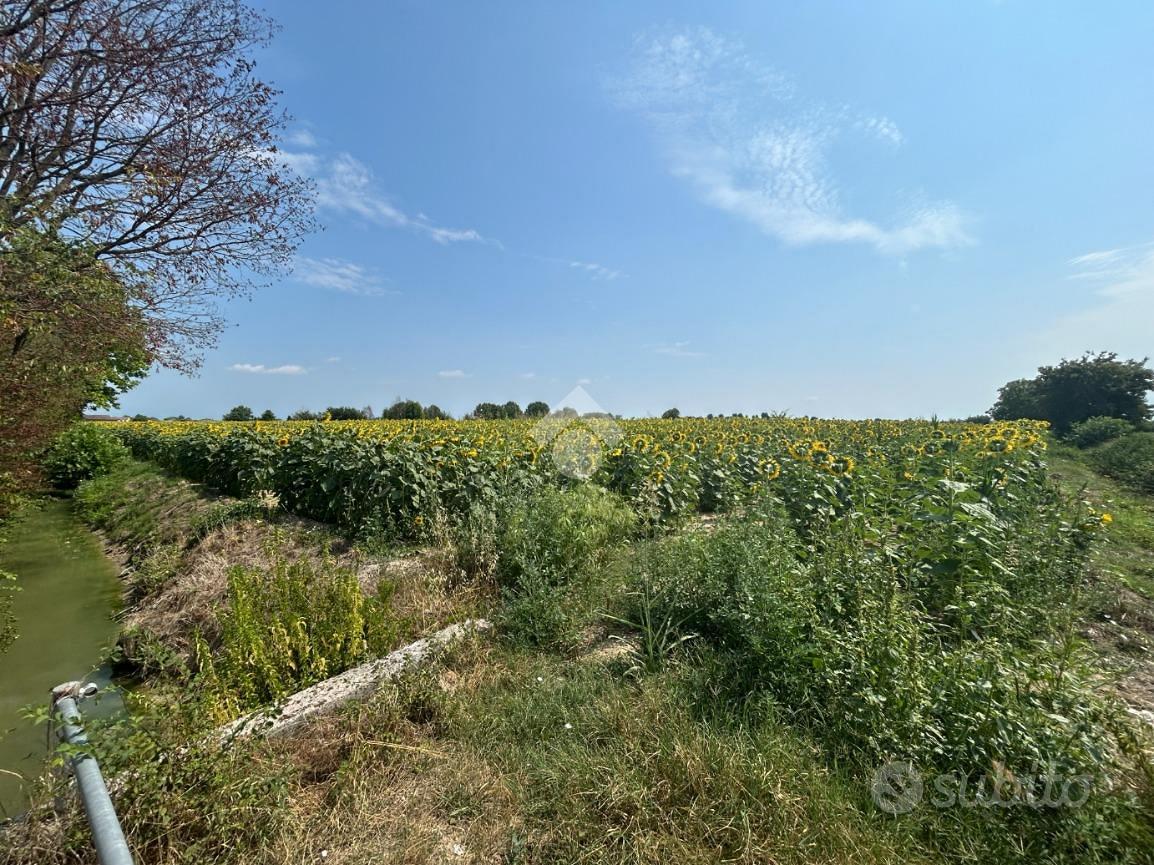 TER. AGRICOLO A TREVENZUOLO - Vista 5