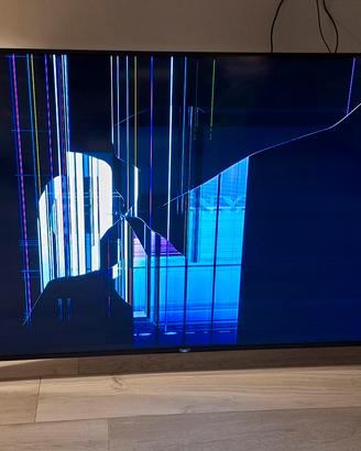 tv Sony bravia schermo rotto