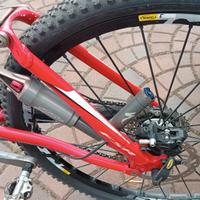 MTB biammortizzata 
