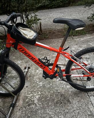 Bici Montana Escape 719 mtb bambino 20″