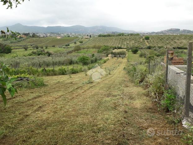 TER. AGRICOLO A SAN CESAREO