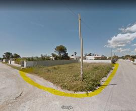 Suolo a punta grossa porto cesareo