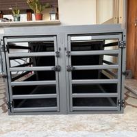 Gabbia per cani auto