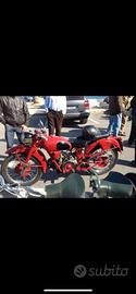 Motoguzzi