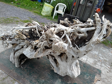 Driftwood legno alla deriva spiaggiato