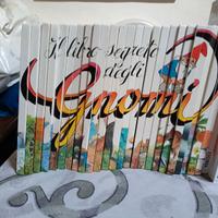 IL LIBRO SEGRETO DEGLI GNOMI