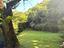 Immagine 25