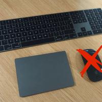 Apple Magic Keyboard + Magic Trackpad 2