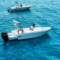 Barca con motore 21 piedi