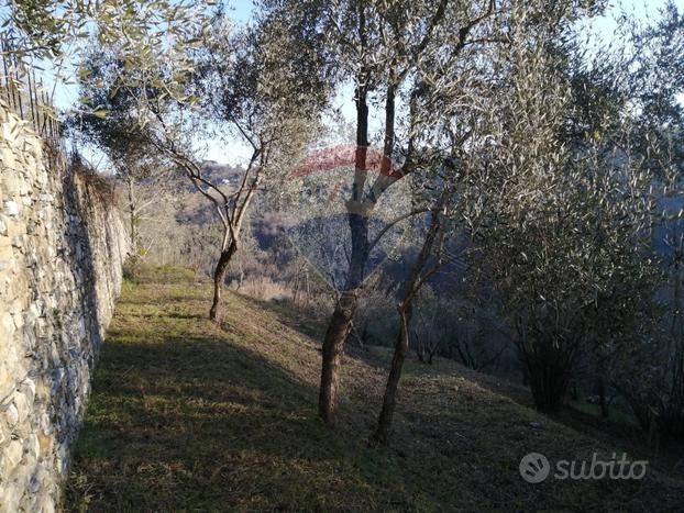 Terreno Edificabile - San Colombano Certenoli