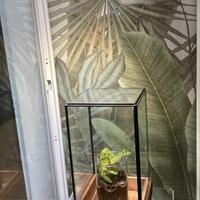 Vetrina con luci sansi