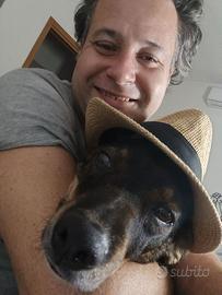 macchine da giardino