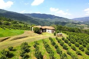 Cascinale nelle Langhe con terreno