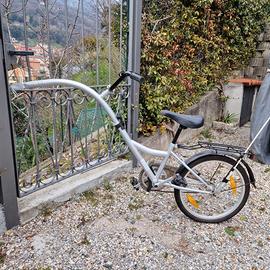 Appendice /carrello /rimorchio bici per bimbo