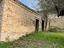 Immagine 15