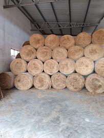 Vacche pecore