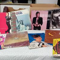 Dischi LP Gianna Nannini 