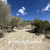 TERRENO AGRICOLO LOC. SANTA BARBARA,SORSO